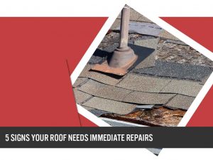 5 Signs Your Roof Needs Immediate Repairs