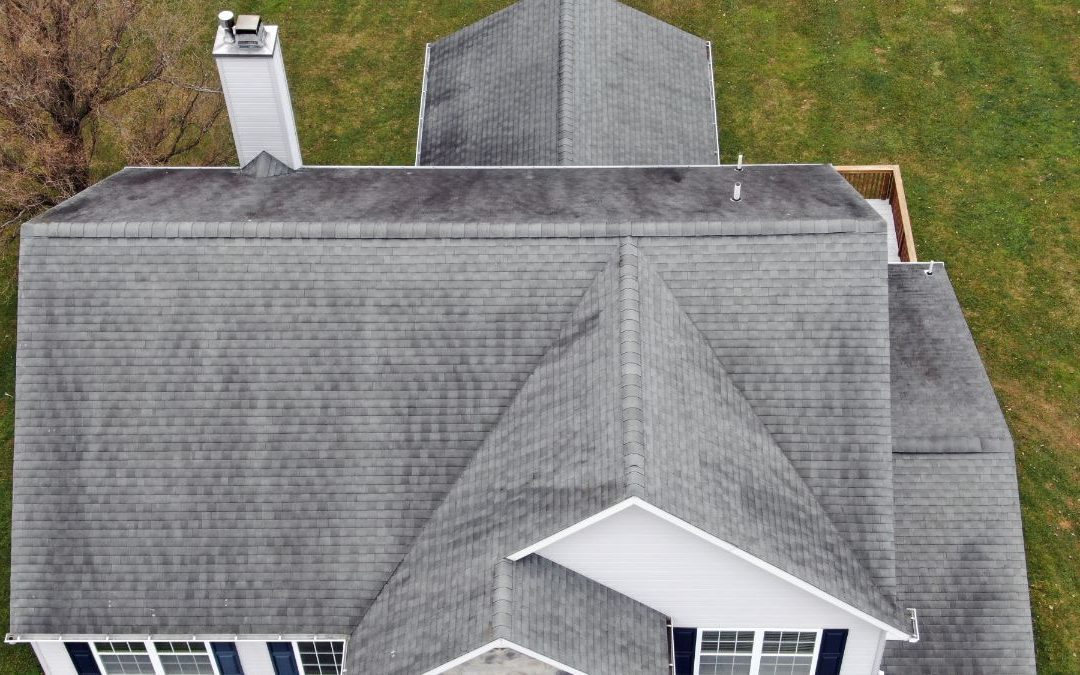 Shingle Granule Loss: What Does It Say About Your Roof?