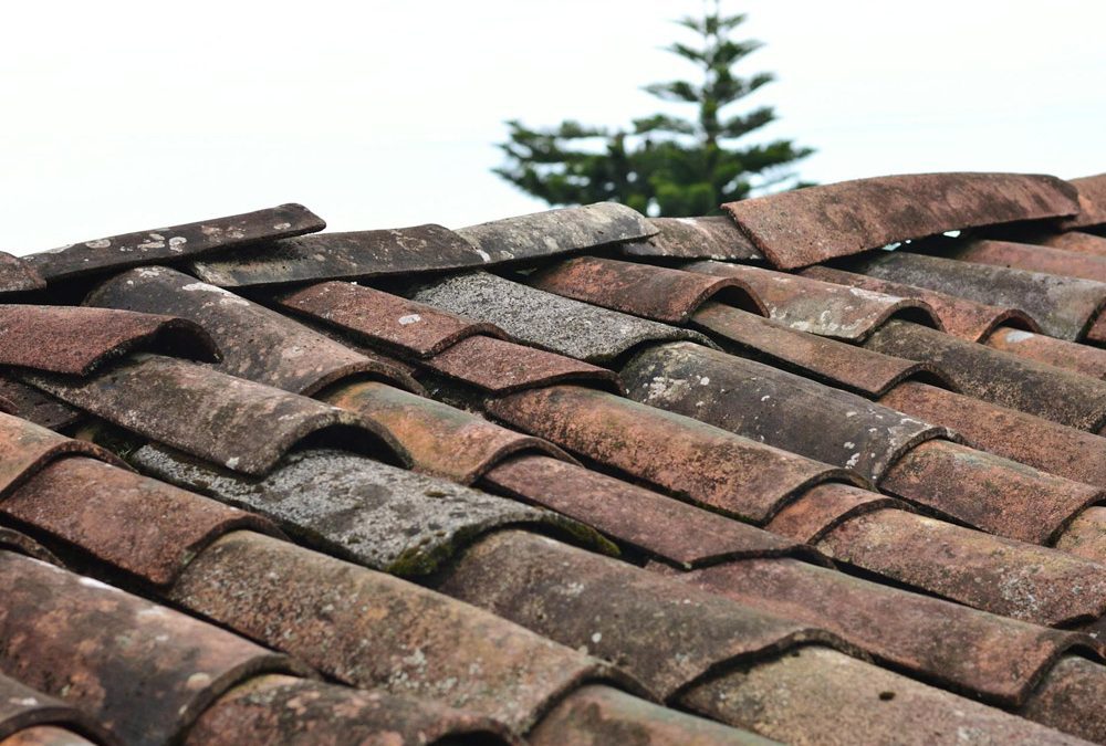 Top 10 Signs You May Need a New Roof
