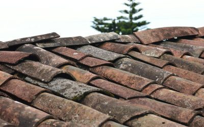 Top 10 Signs You May Need a New Roof